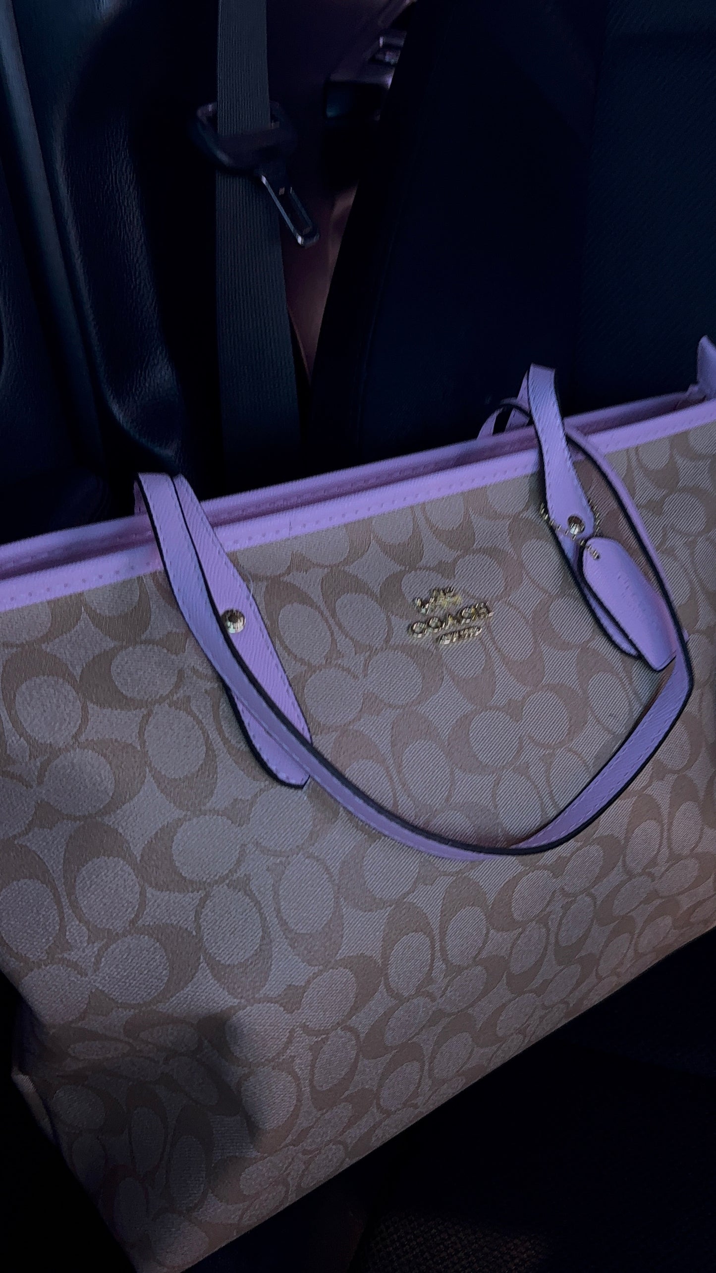 Brown Tote purse