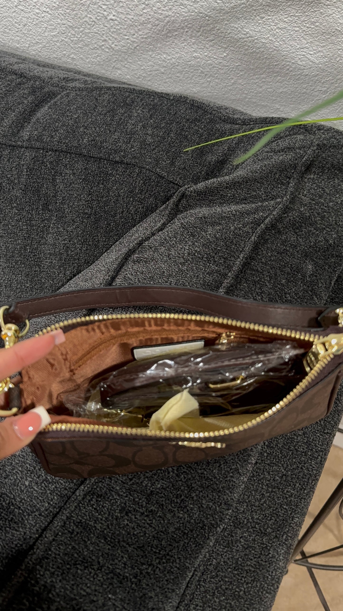 Small brown purse