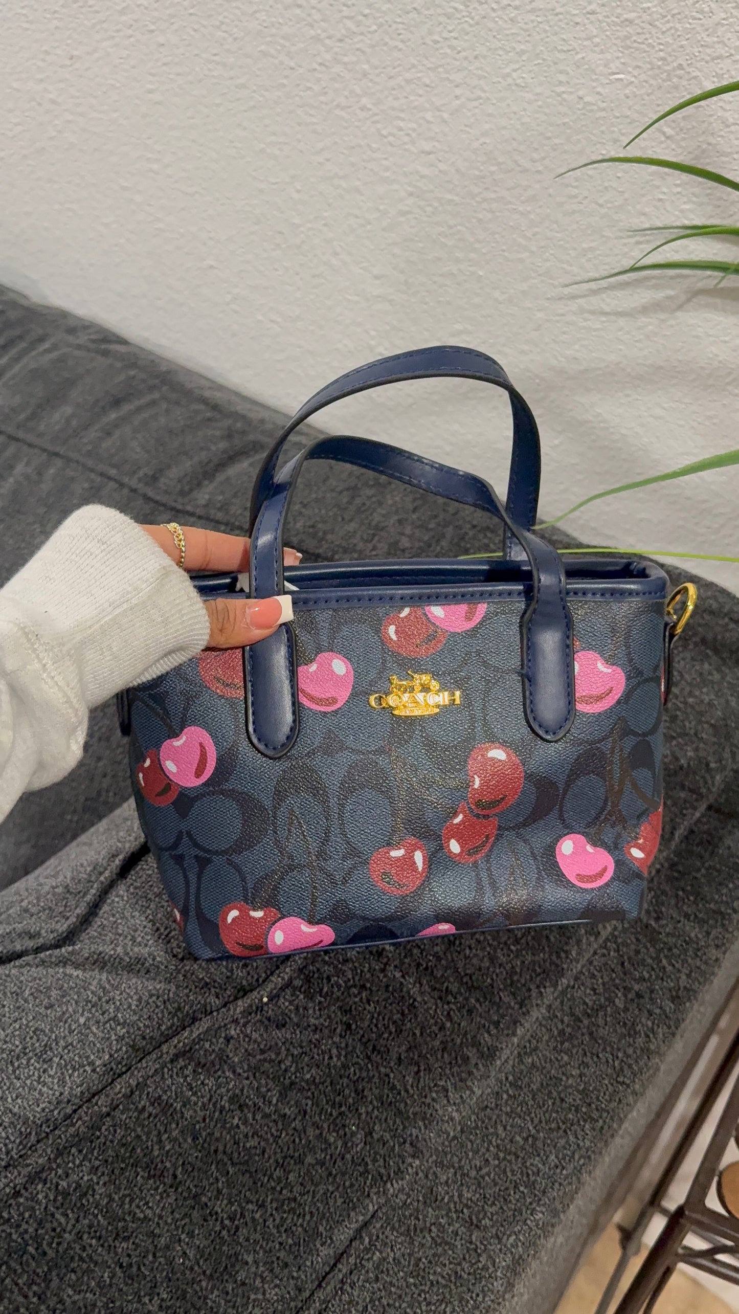 Small cherry purse