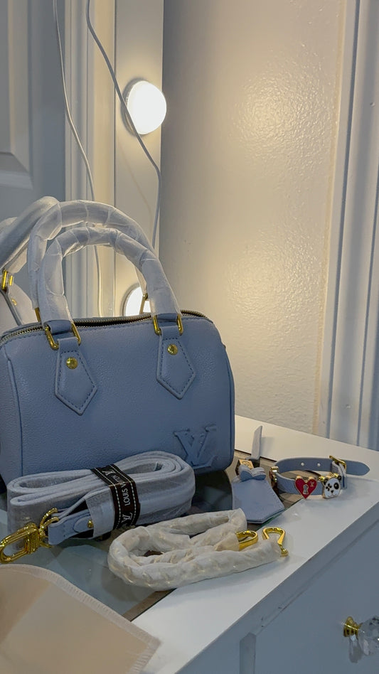 Baby blue luxury hand bag