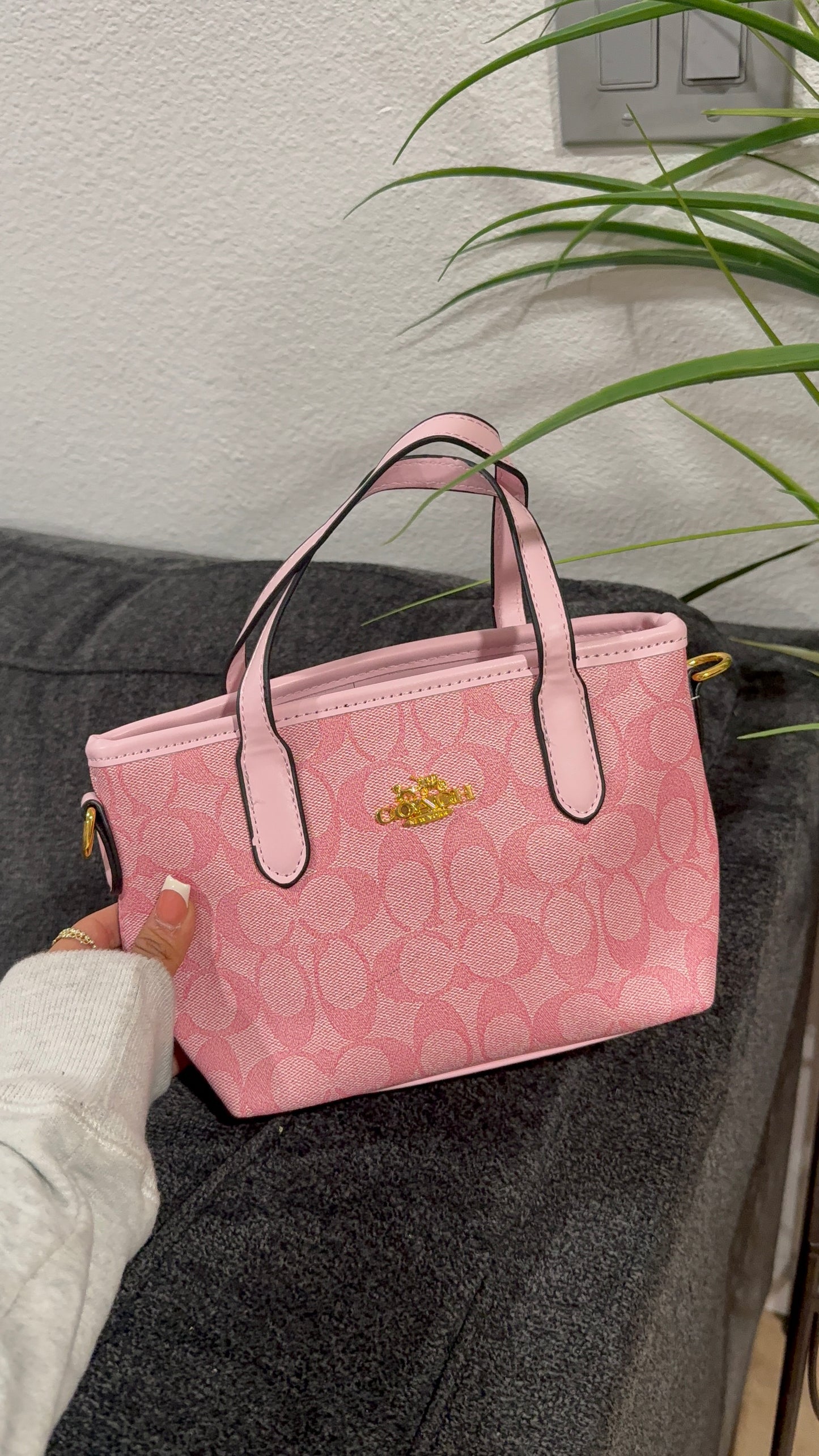 Small pink purse