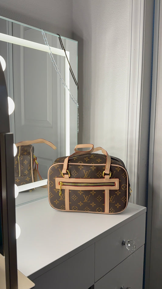 Cosmetic purse - ready to ship