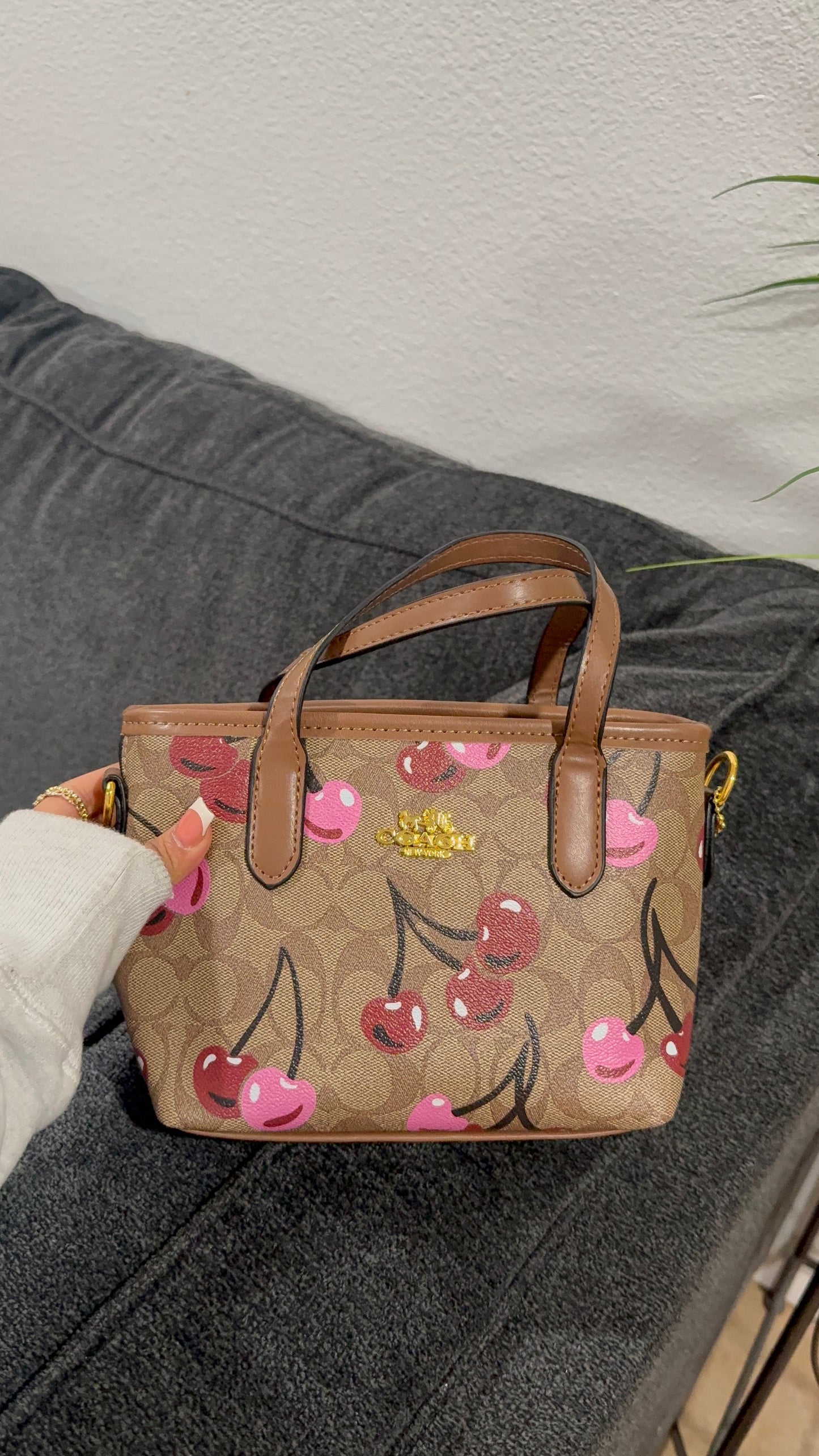 Small brown cherry purse
